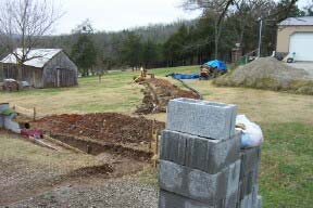 stumps1